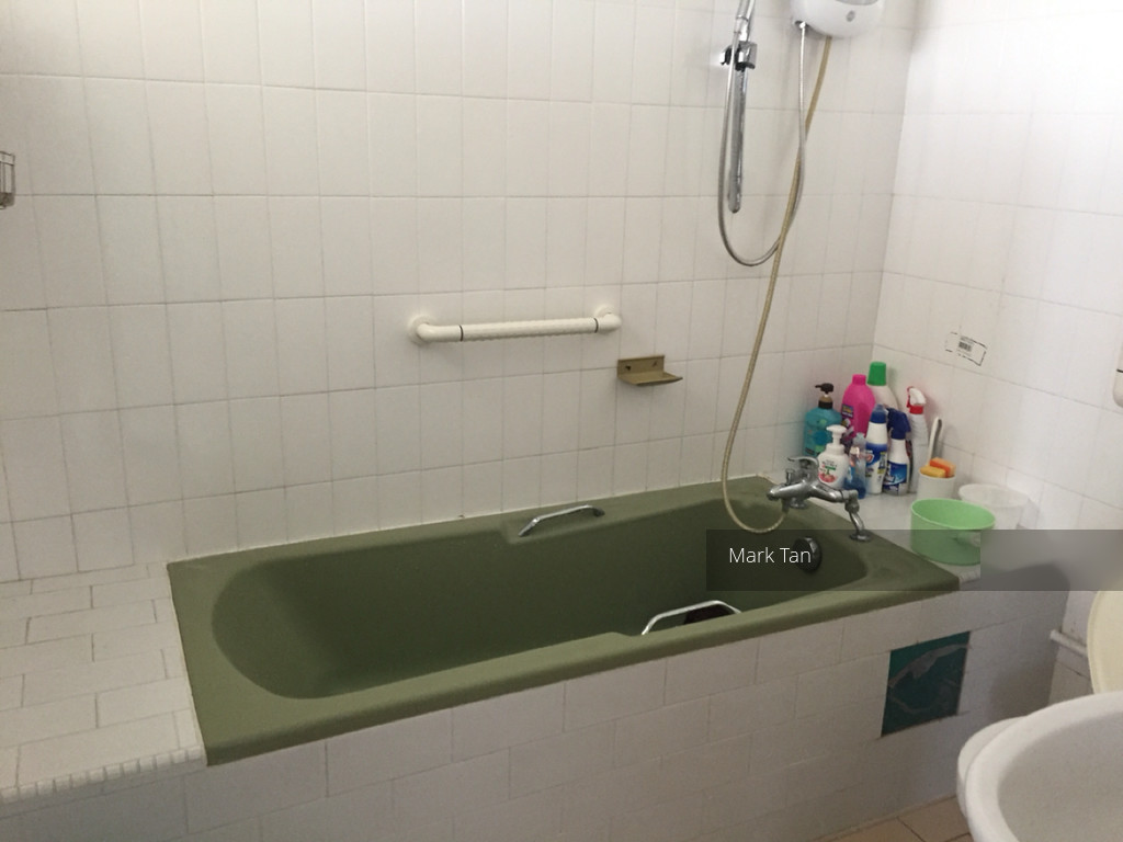 Blk 135 Cashew Road (Bukit Panjang), HDB Executive #117182292